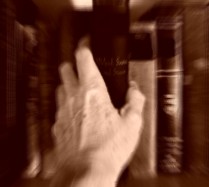 shelf